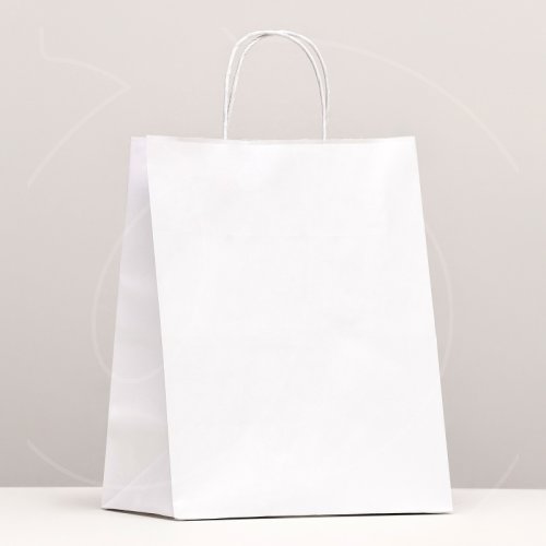Пакет бумажный с ручками Белый 24х14х28 см 3742612
