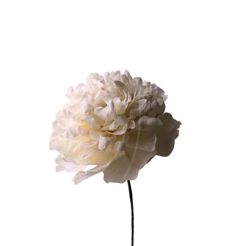 Сахарный цветок "Пион белый" 1523