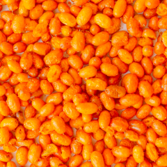 Облепиха сублимированная 20 г 