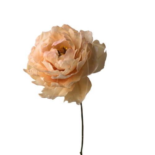 Сахарный цветок "Пион розовый" 1524