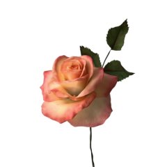 Сахарный цветок "Роза" 1520