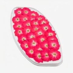 Роза обезвоженная "Огненный поцелуй" Плоская 30 шт 